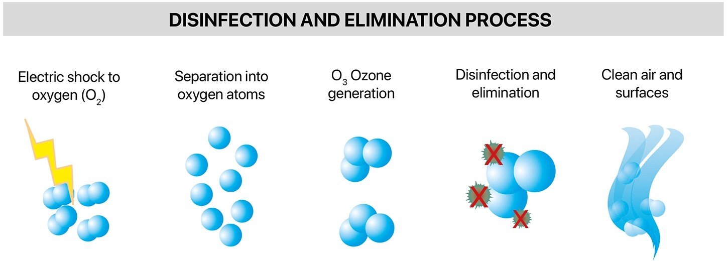 Disinfection and elimination process
